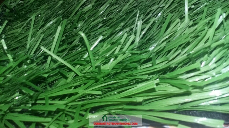cỏ nhân tạo