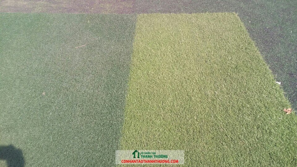 cỏ nhân tạo thanh lý