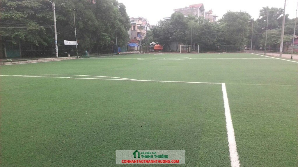 sân bóng sau khi được bảo dưỡng
