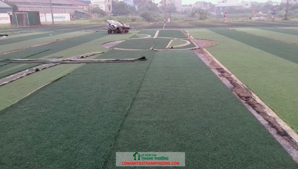 Lột cỏ bảo dưỡng sân bóng
