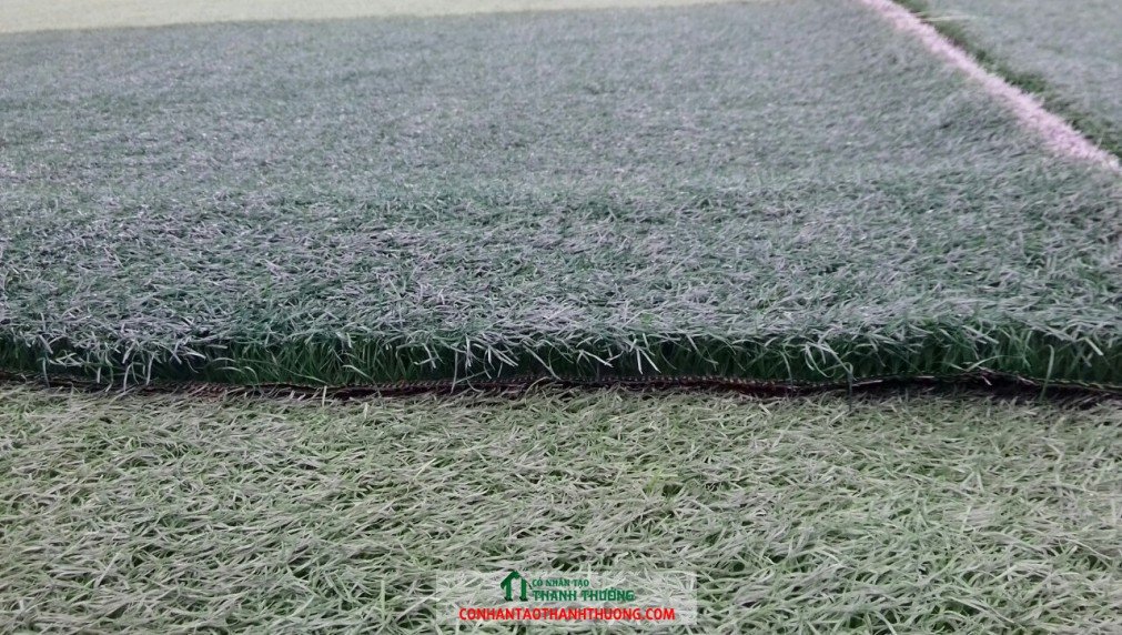 Cỏ nhân tạo đã được lột lên