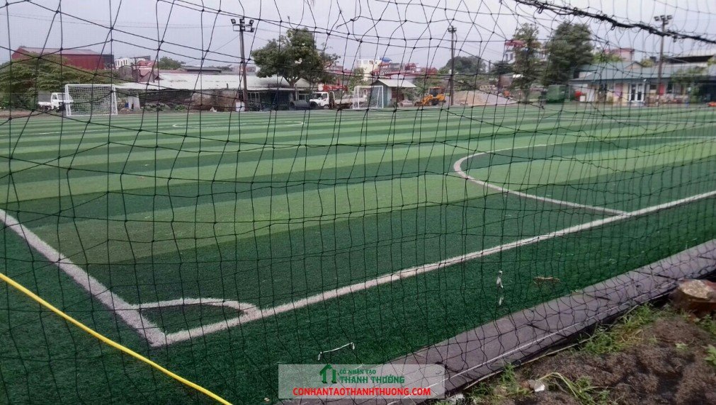 Mặt sân cỏ sau bảo dưỡng