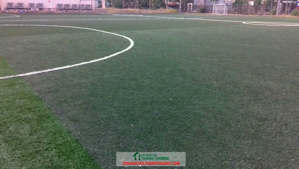 sân bóng đá cỏ nhân tạo được bảo dưỡng