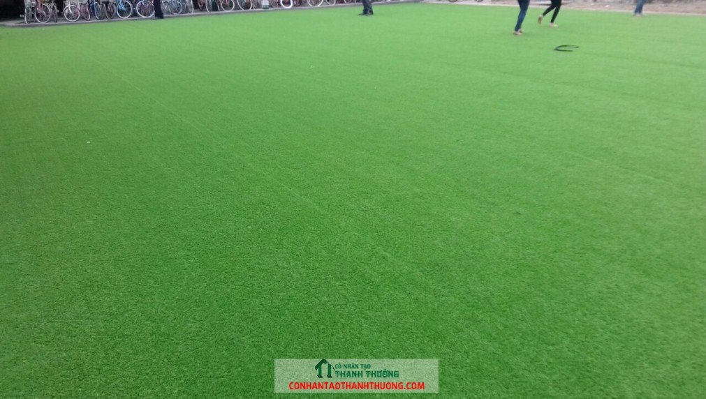 Cỏ nhân tạo Sơn La