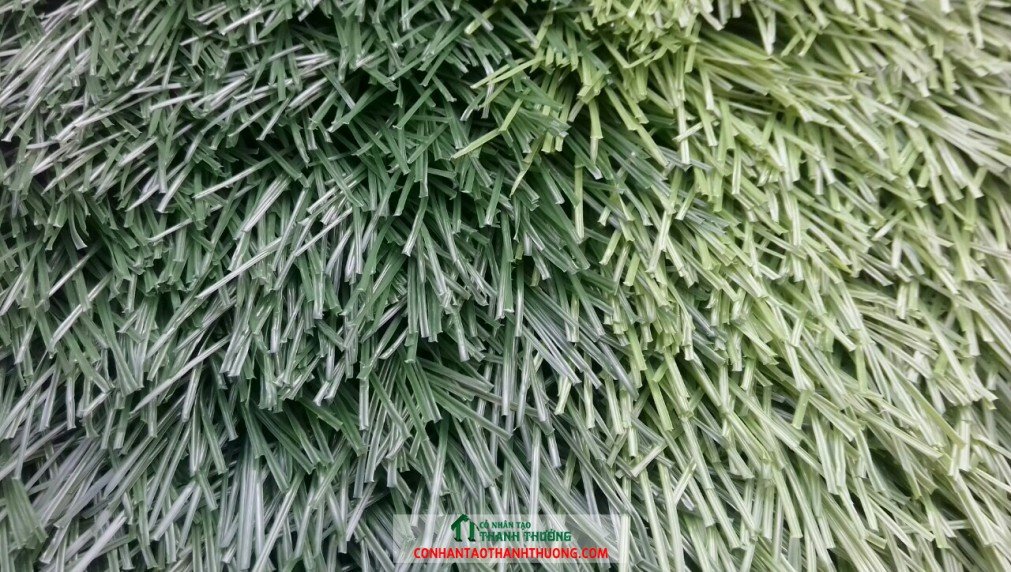 cỏ nhân tạo sân bóng đá