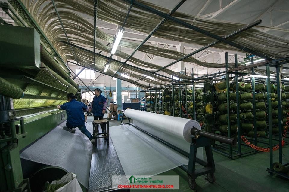 Sản xuất cỏ nhân tạo tại Việt Nam