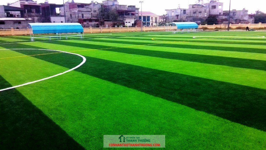 Sân bóng đá cỏ nhân tạo