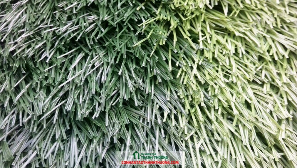 Cỏ nhân tạo giá rẻ