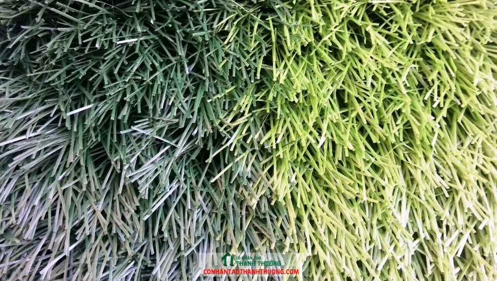 cỏ nhân tạo sân bóng đá