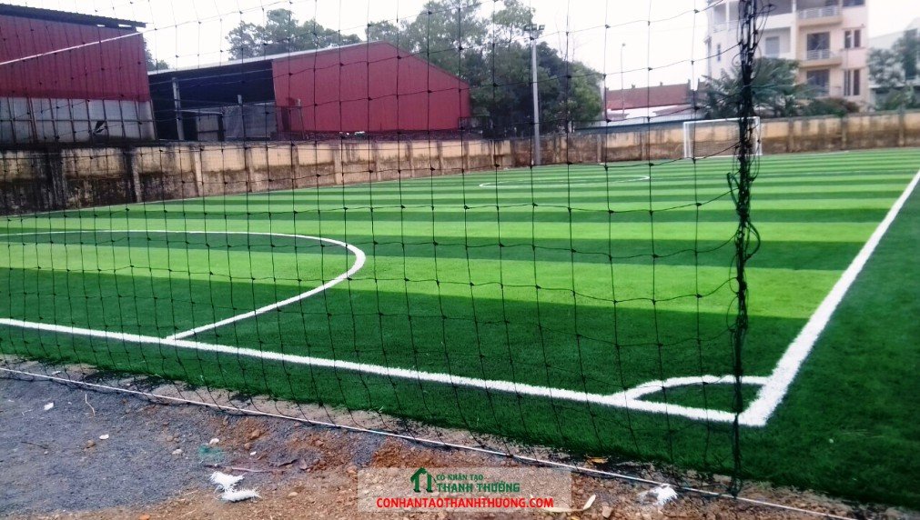 Cỏ nhân tạo giá rẻ