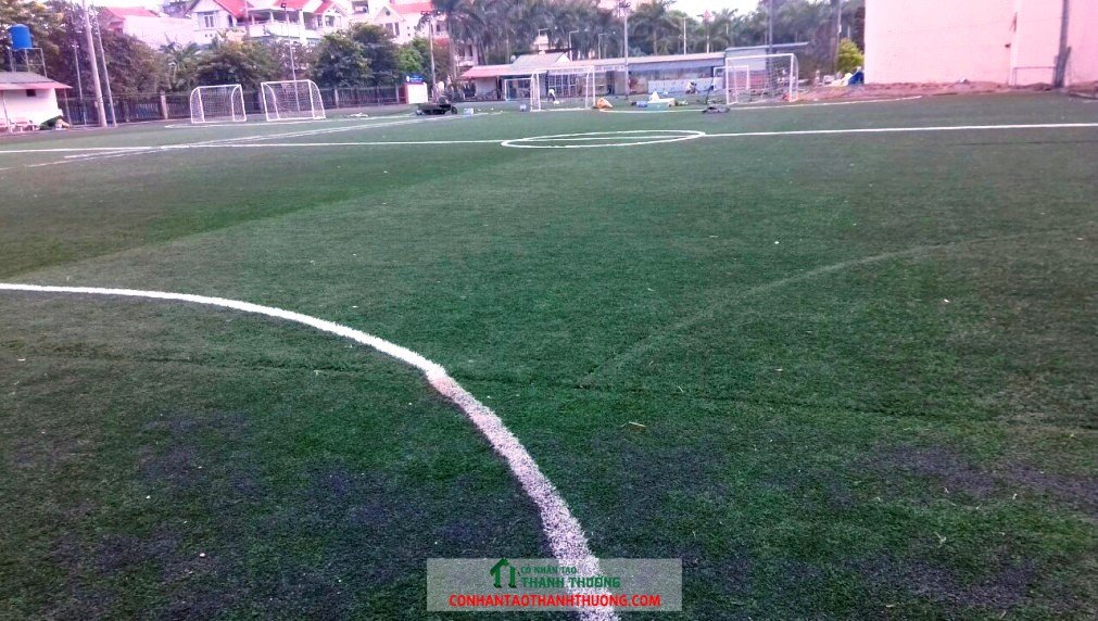 Bảo dưỡng phục hồi sân cỏ nhân tạo