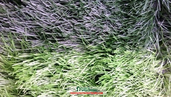 z824221030149 69f291eddec6230678eb24357ae10ec3