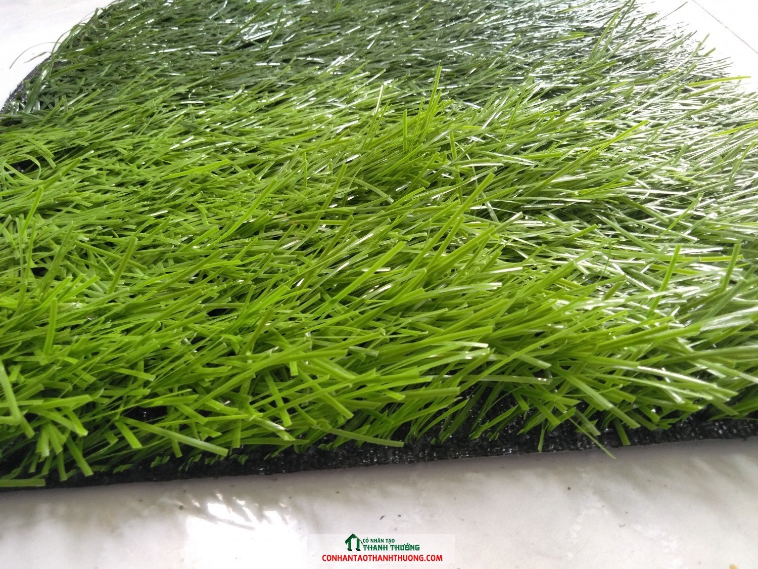 Cỏ nhân tạ sân bóng đá