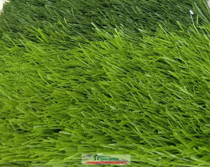 cỏ nhân tạo Hà Nội