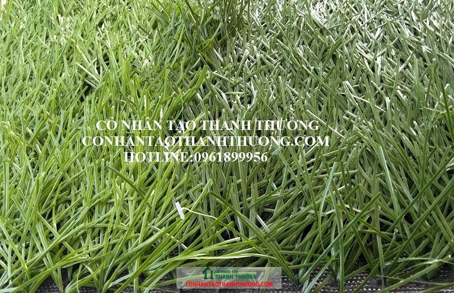 Cỏ nhân tạo sân bóng đá giá rẻ