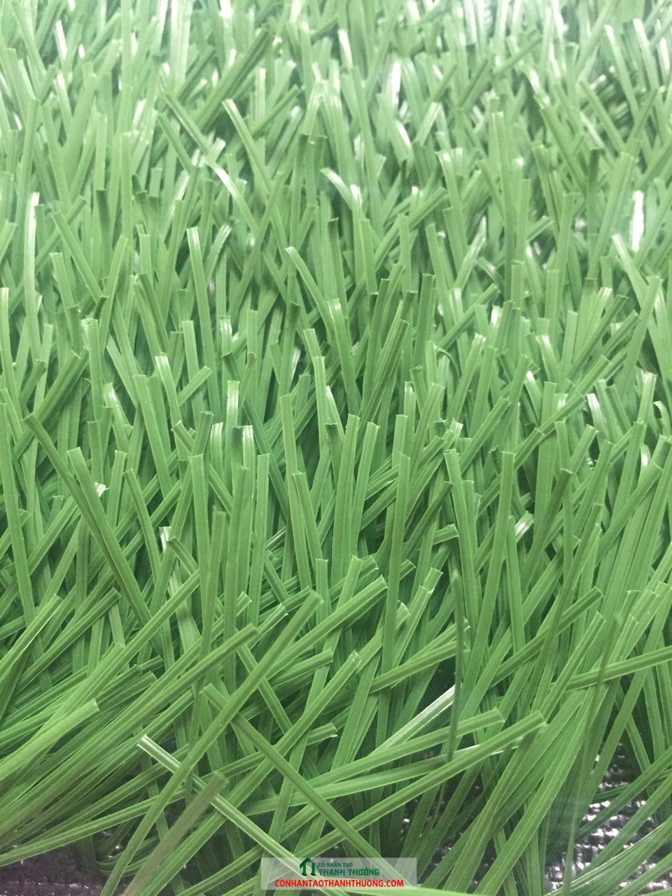 d934082bf4f80fa656e9