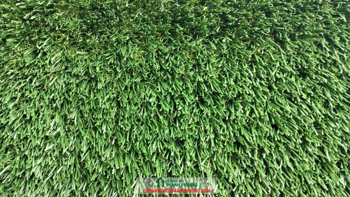 z4788430650116 5812ea22f74681529fca2673ddf07a25