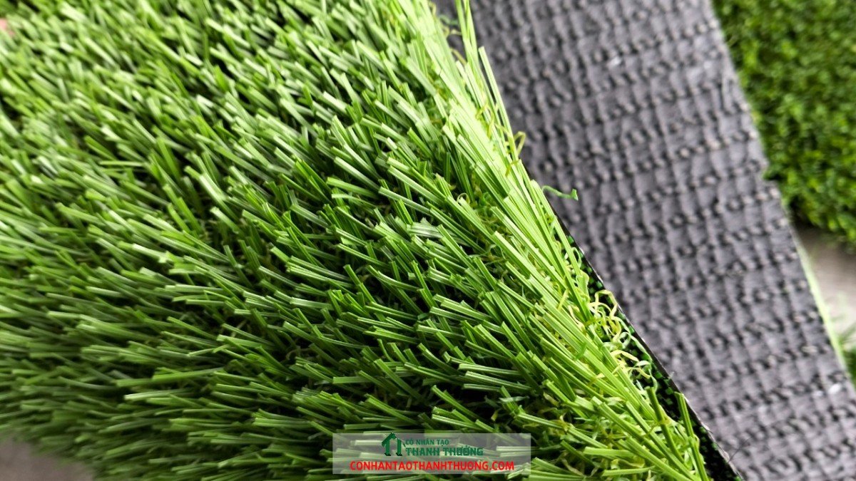 z5172528494838 4a5af879049edae35d07a0f80716df04