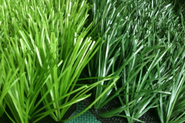 Cỏ nhân tạo trang trí văn phòng