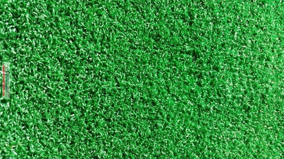 Cỏ golf