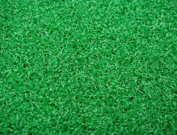 Cỏ sân Golf TT12