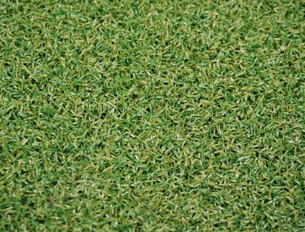 Cỏ sân Golf TTSG 1