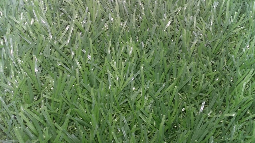 Cỏ nhân tạo sân vườn