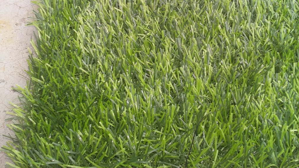 Cỏ nhân tạo sân vườn