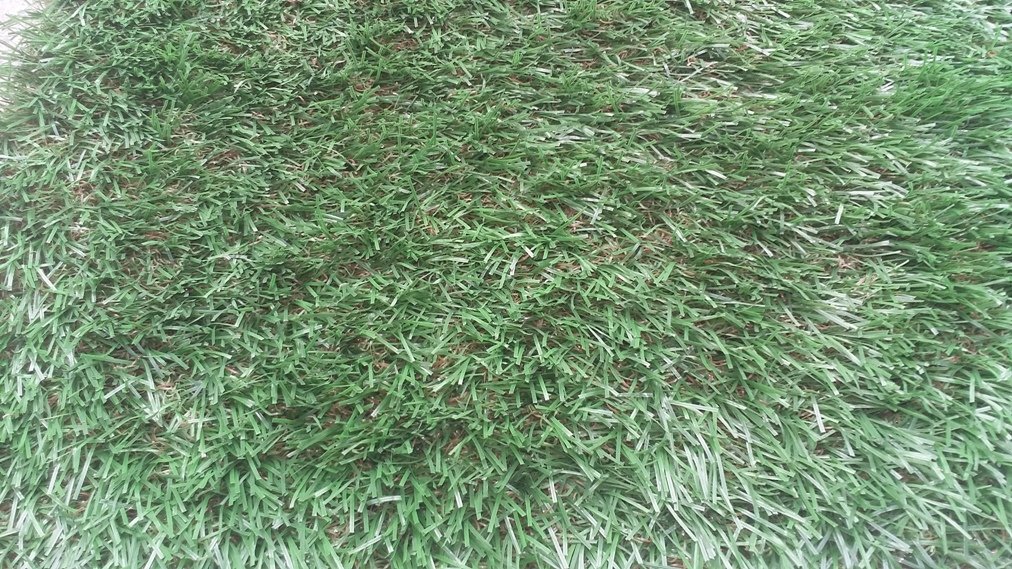 Cỏ nhân tạo sân vườn