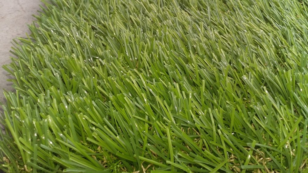 Cỏ nhân tạo sân vườn