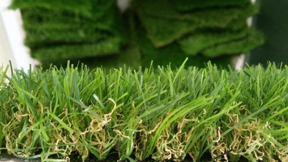 Cỏ trang trí TT06