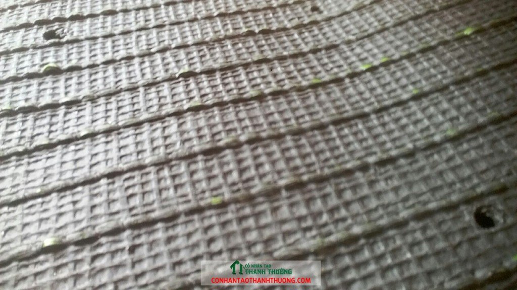Cỏ nhân tạo sân bóng đá