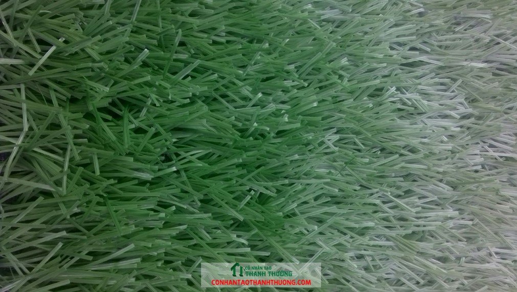 Cỏ nhân tạo sân bóng đá