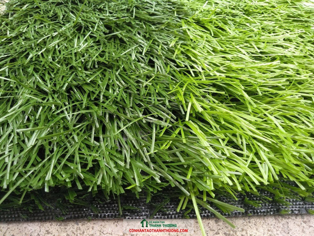 Cỏ nhân tạo sân bóng đá TT160-11K