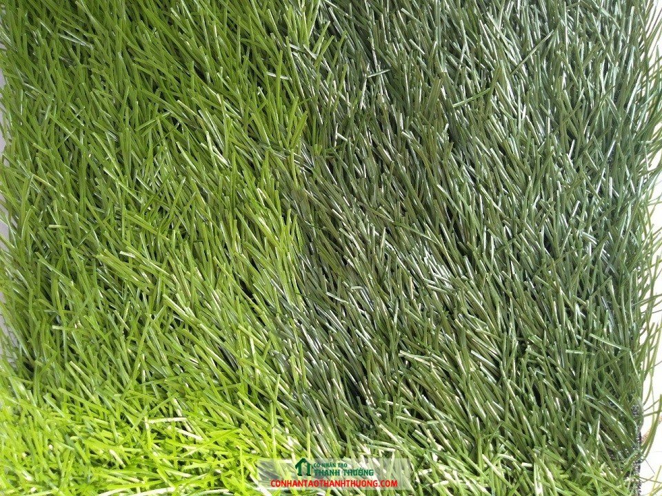 Cỏ nhân tạo sân bóng đá TT160-12K