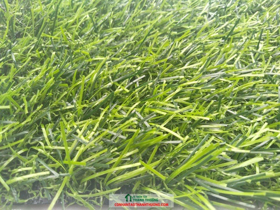 Cỏ nhân tạo giá rẻ 85k