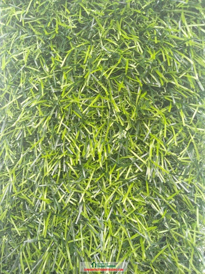 cỏ nhân tạo