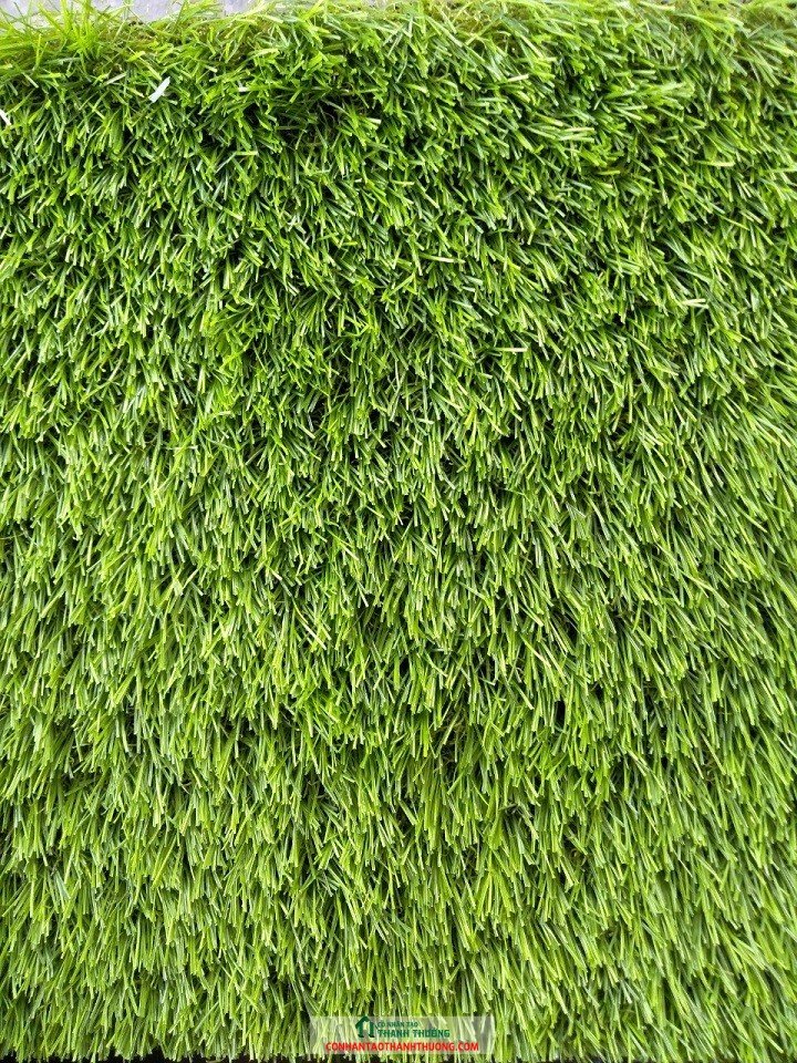 Cỏ nhân tạo sân vườn