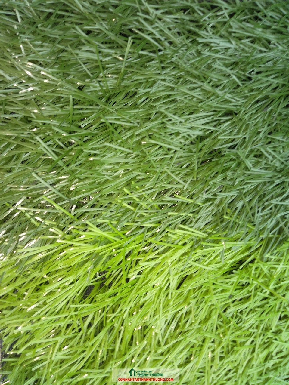 Cỏ nhân tạo sân bóng đá