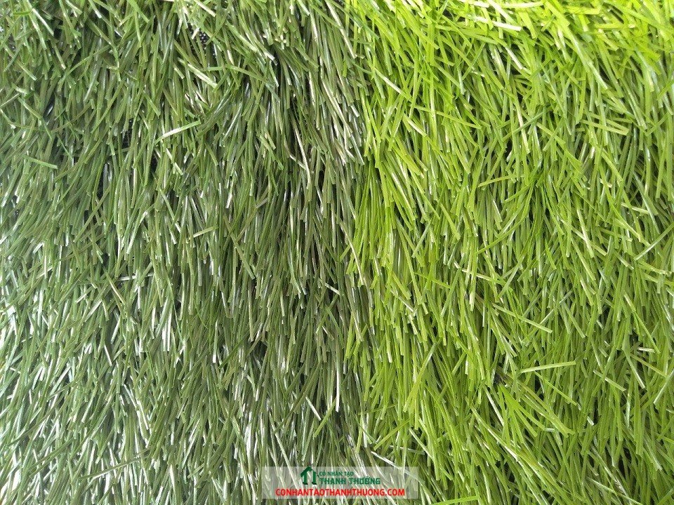 Cỏ nhân tạo sân bóng đá giá rẻ