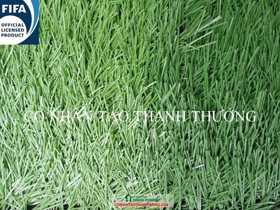 cỏ nhân tạo sân bóng đá