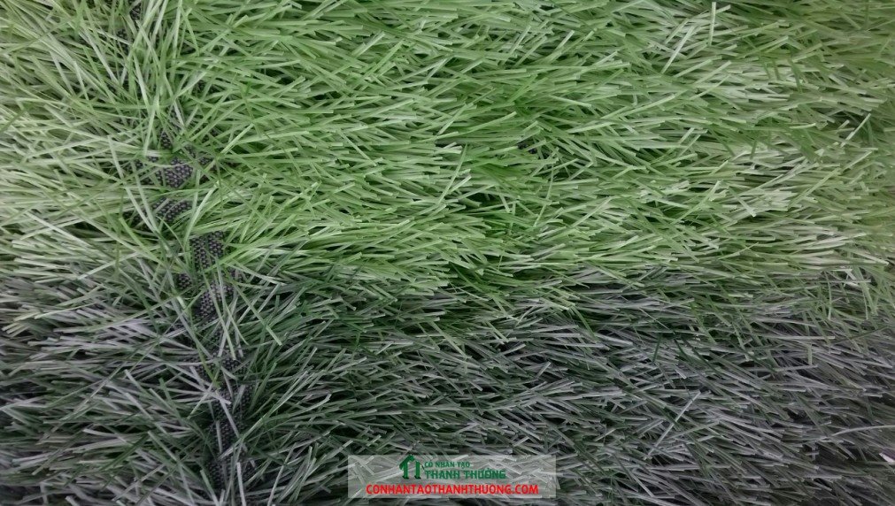 Cỏ nhân tạo sân bóng đá