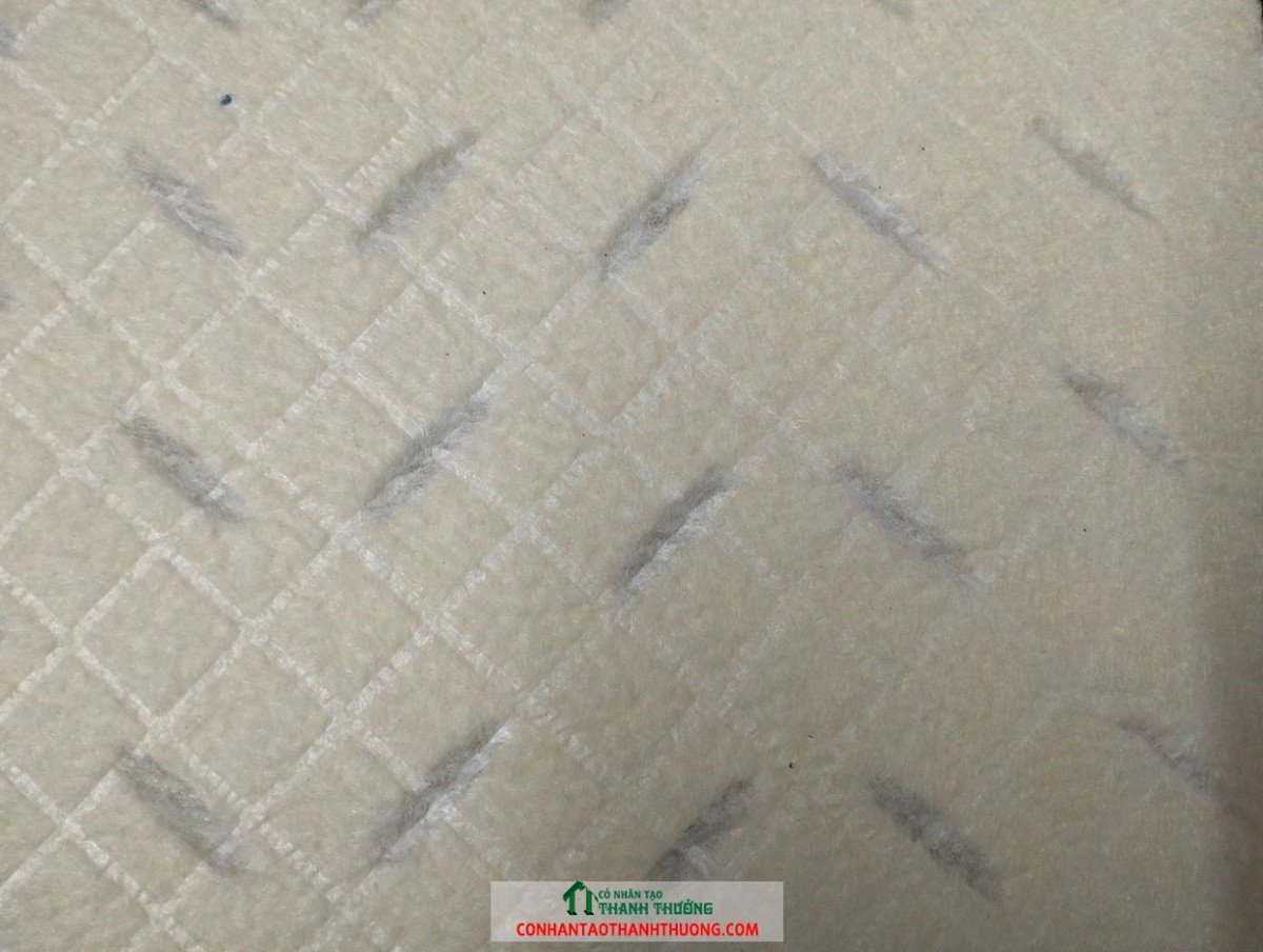 IMG20260717145631