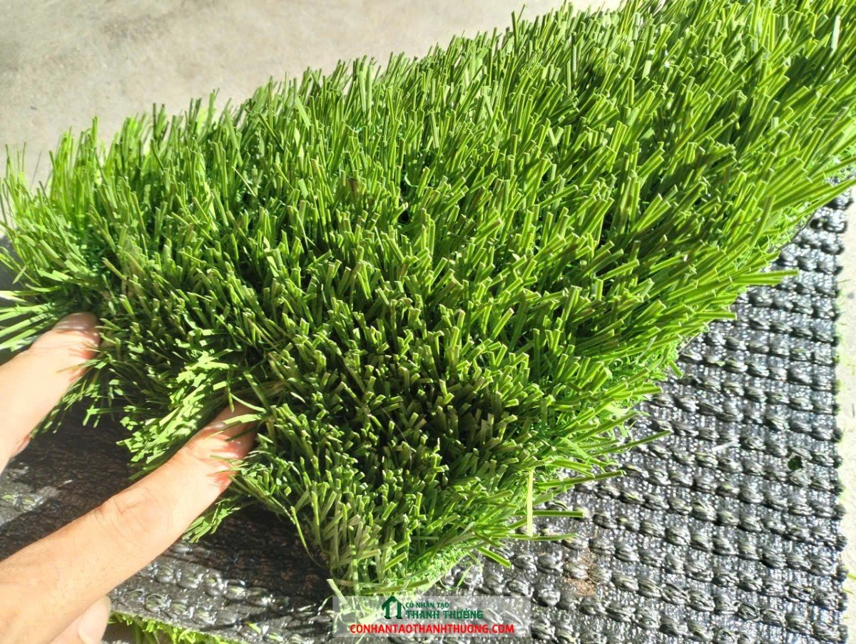 Cỏ nhân tạo bóng đá không dùng hạt cao su
