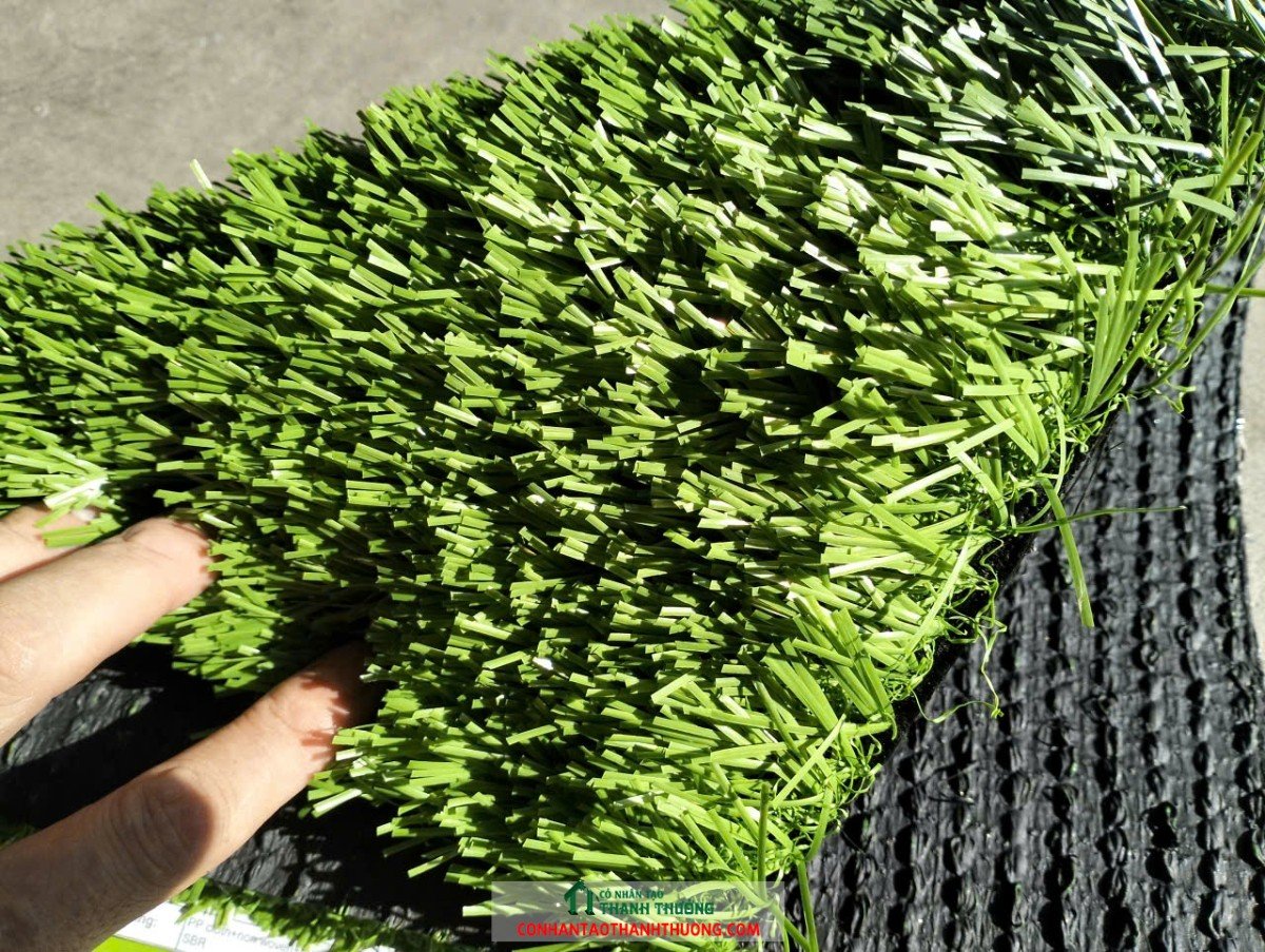 z7026910265948 45ab3667266e3943f7f6096816c9bb8f