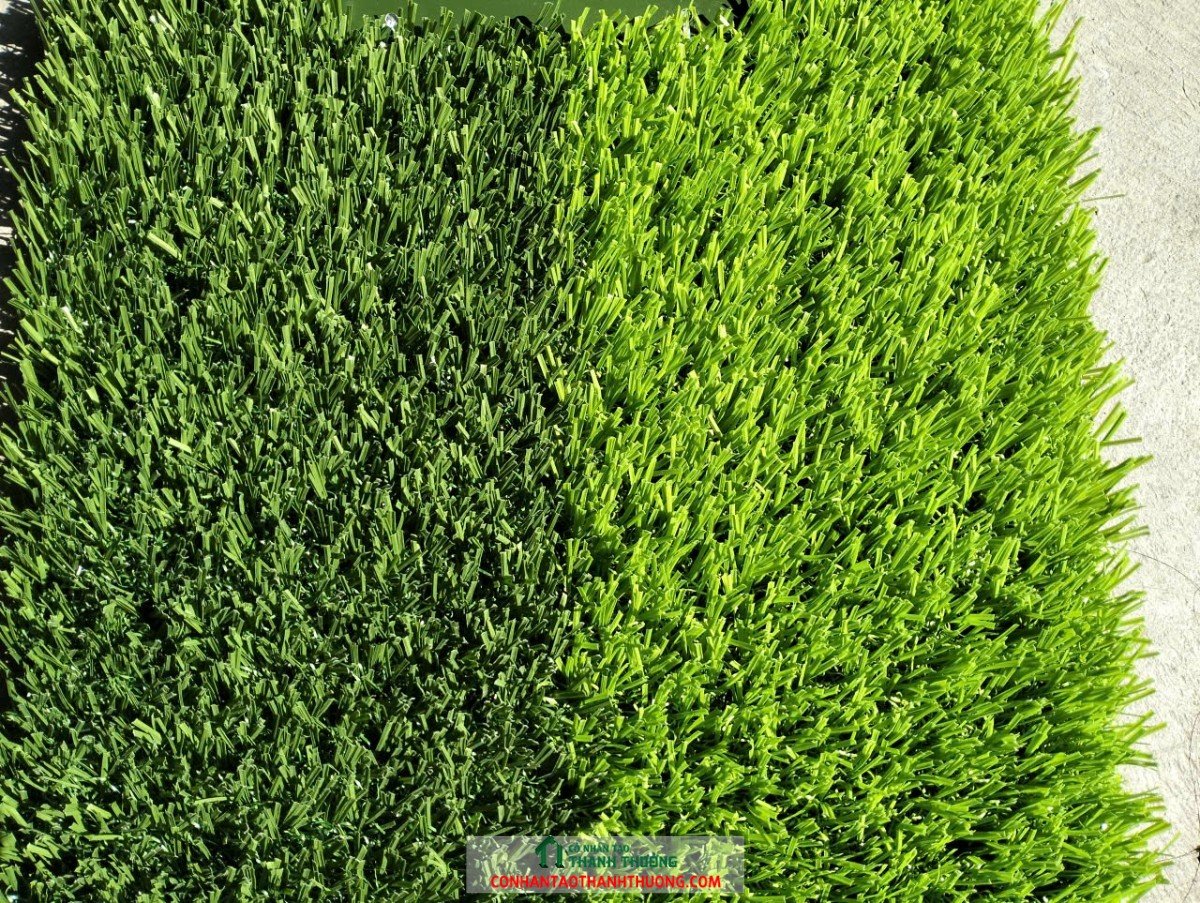 z7026910395234 72400deac125ed690c81b1eb8f490e14